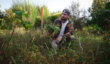 The forest edge protects the forest itself and its flora and fauna from many dangers, explains expert Julien Bosseler.