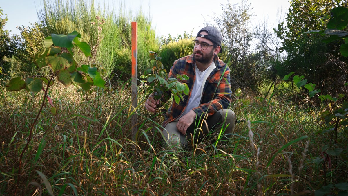 The forest edge protects the forest itself and its flora and fauna from many dangers, explains expert Julien Bosseler.