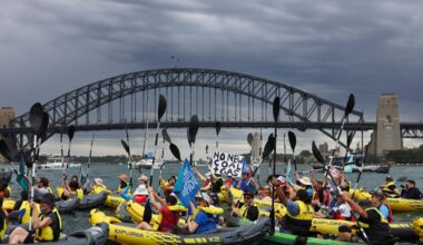 Activist group paddles across Sydney Harbour to demand no new coal or gas projects