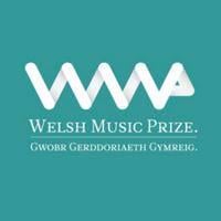 Don Leisure Wins Welsh Music Prize 2025 For 'Tyrchu Sain'