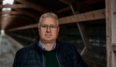 Nødlidende minkfarm har scoret jackpot: Får 98 millioner skattekroner