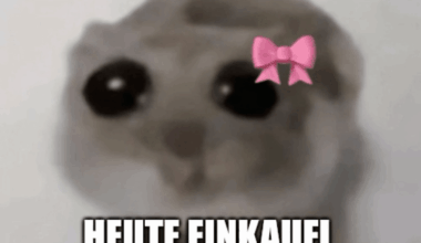 Ich iel
