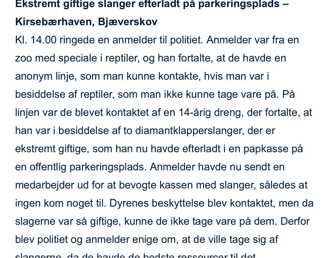 14-årig efterlader to klapperslanger i en papkasse på en offentlig parkeringsplads