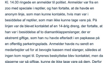 14-årig efterlader to klapperslanger i en papkasse på en offentlig parkeringsplads