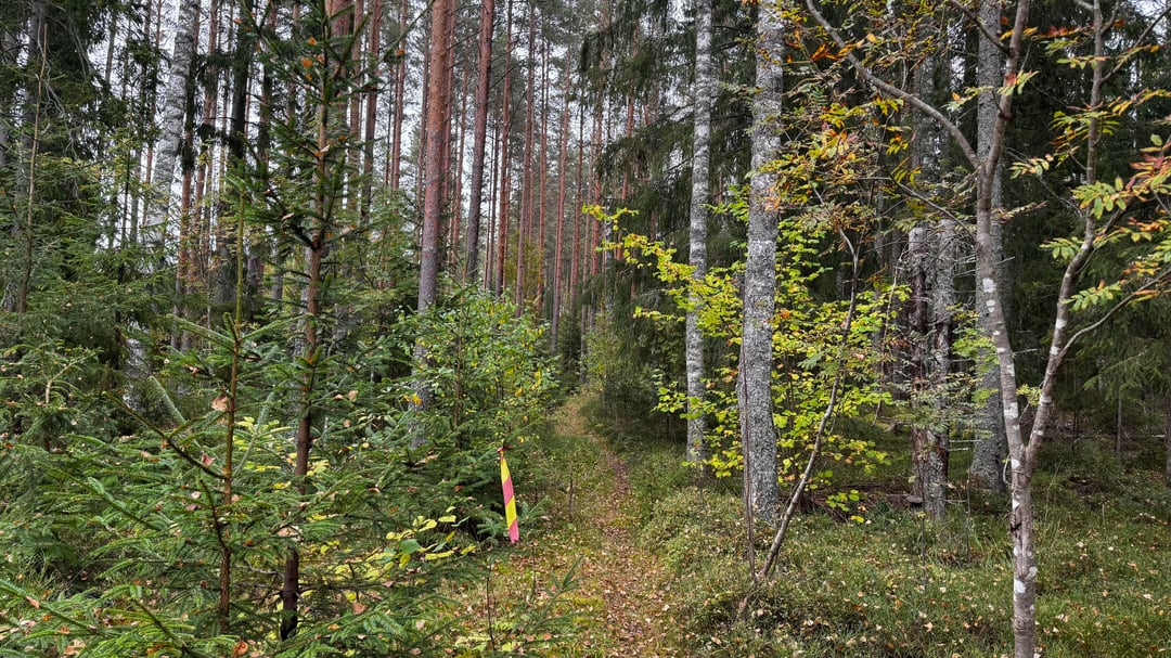 First time in Sweden. Might I say this is the best country in the world?