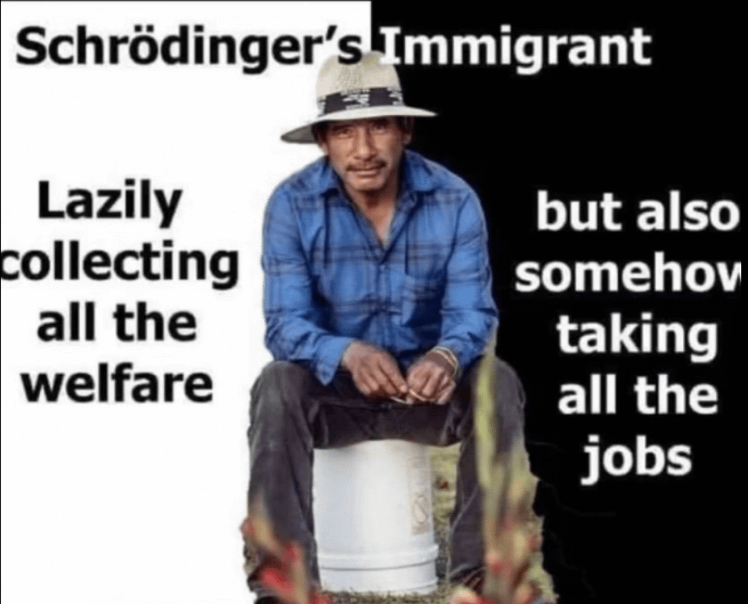Schrodinger's immigrant