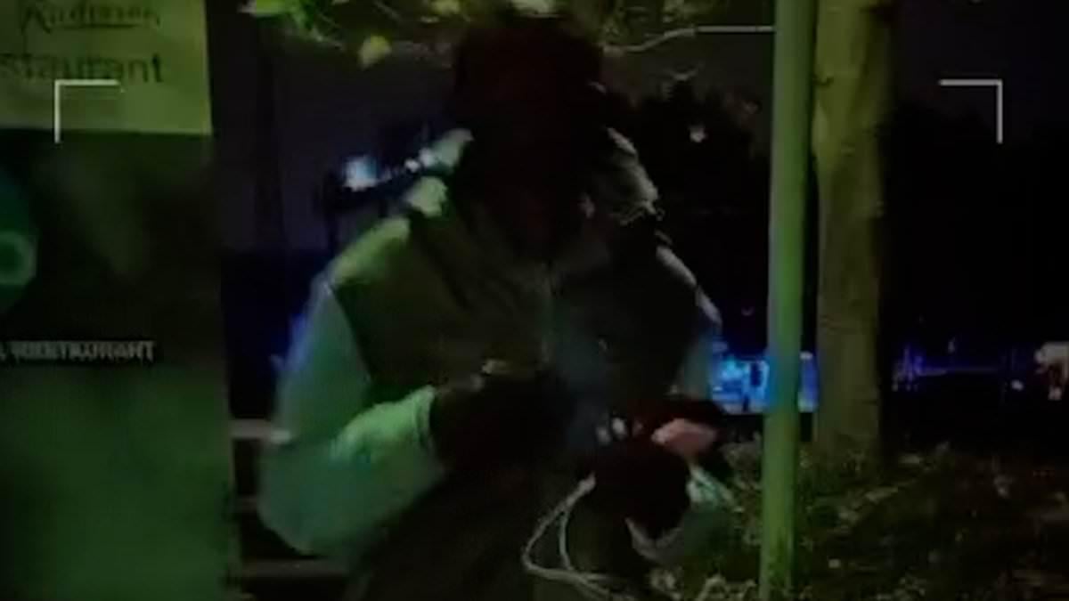Moment Sudanese asylum seeker 'laughs and dances just minutes after stabbing hotel worker more than 20 times with a screwdriver'