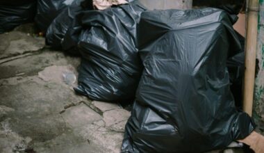 Every household in Blaenau Gwent had black bag waste inspected, council reveals