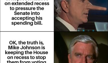 Surely nobody believes anything Mike Johnson says.