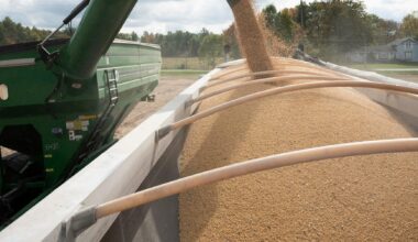 Trump bailout for trade-hit US farmers expected this week