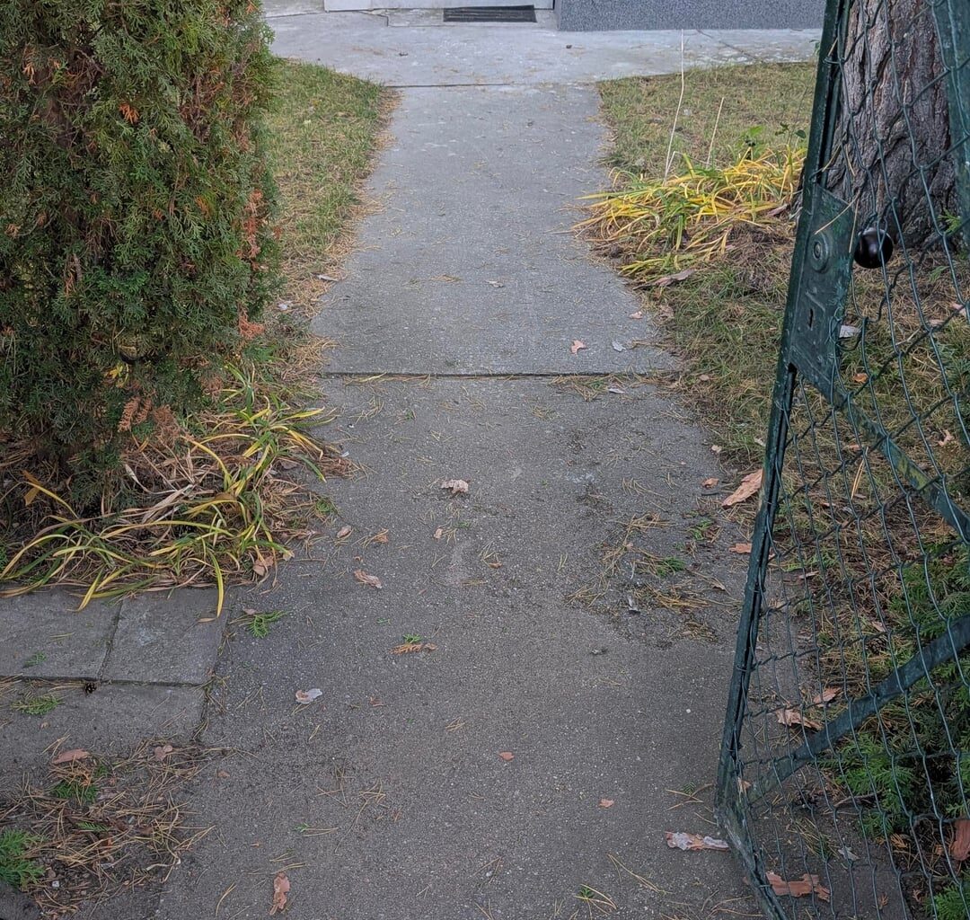 Gestaltungsideen für Betonweg gesucht