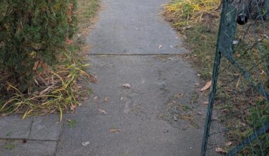 Gestaltungsideen für Betonweg gesucht