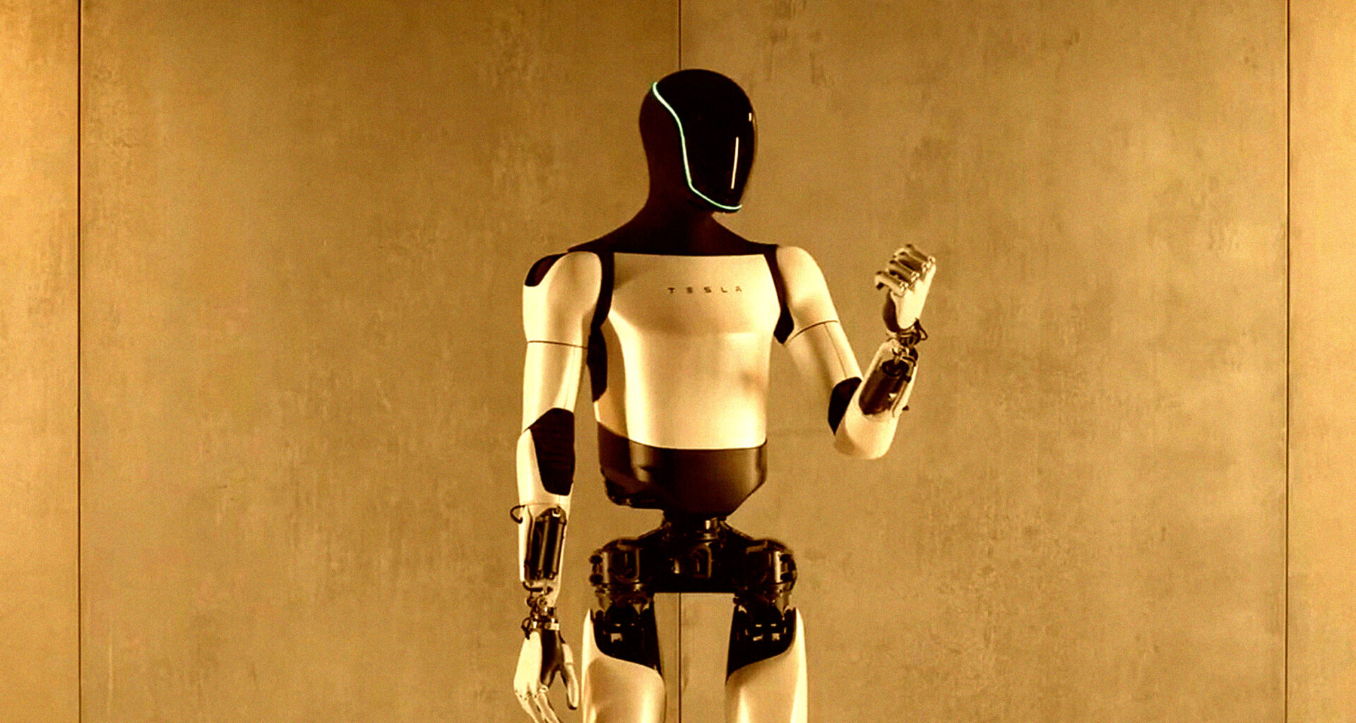 Cofounder of Roomba Maker Says Elon Musk Is in for a Terrible Surprise With Humanoid Robots