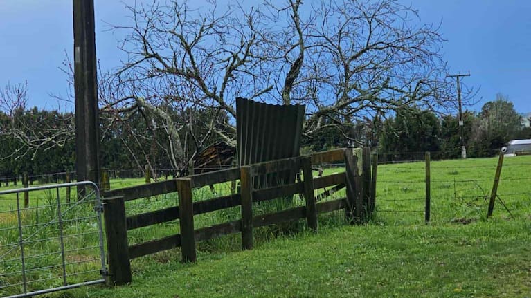 Roofing iron was embedded in this paddock following a reported tornado near Whakatāne.