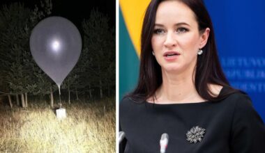 sprendimai dėl oro erdvės apsaugos bus pristatyti Nacionalinio saugumo komisijai