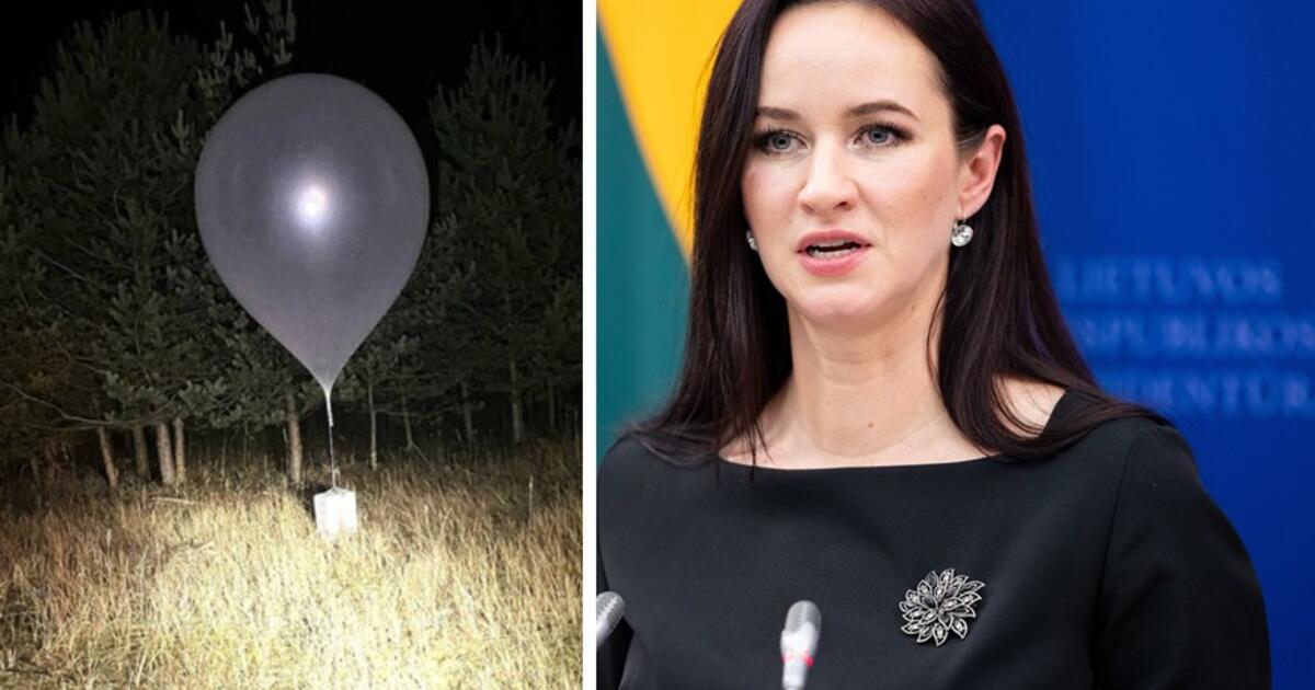 sprendimai dėl oro erdvės apsaugos bus pristatyti Nacionalinio saugumo komisijai