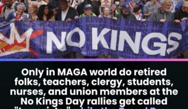 MAGA can ingest a satchel of Richards