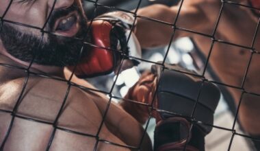 Romania’s Wild MMA Clip: Knockout, Groin Thrust, And Referee Slam