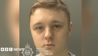 Treorchy teen jailed for sexually abusing 37 girls online