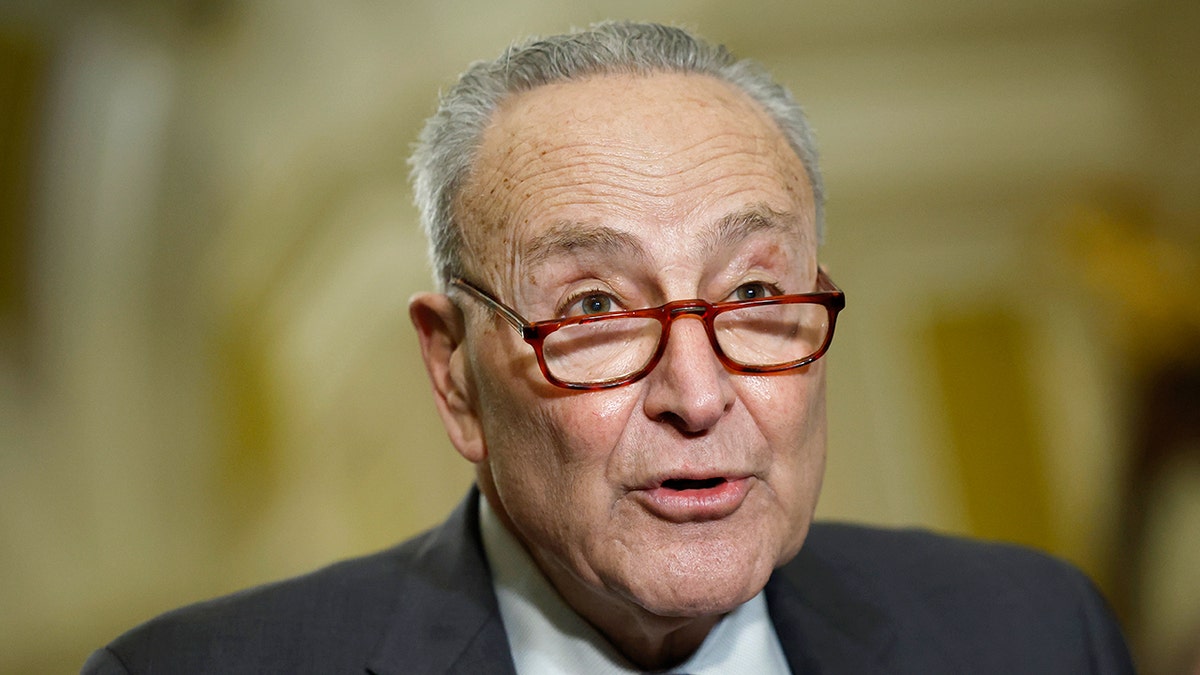 Chuck Schumer at the US Capitol
