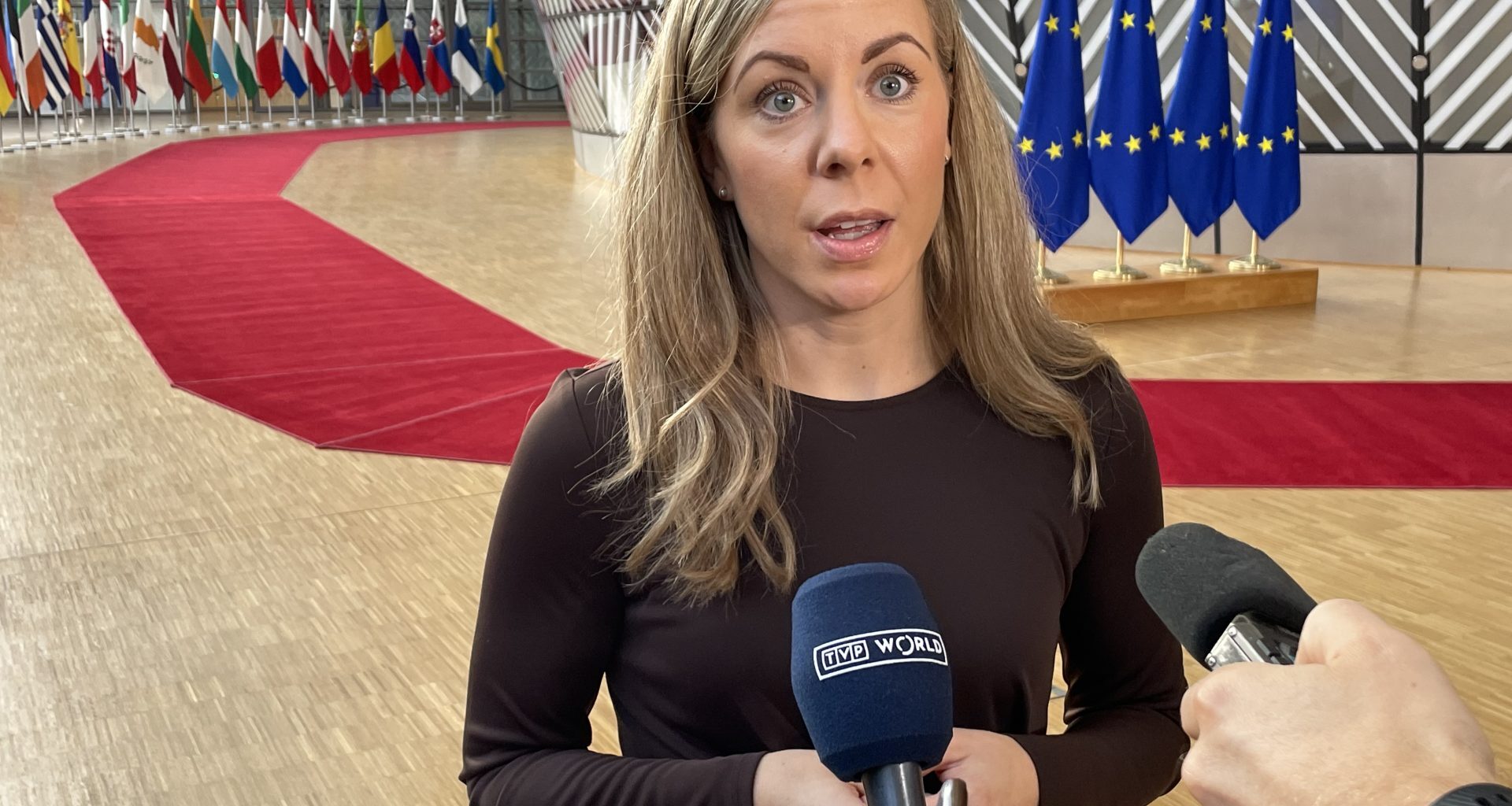 Sweden wants to warn Hungary: No responses