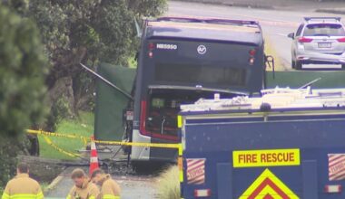 Bus driver killed in Auckland crash named