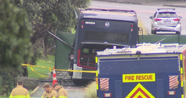 Bus driver killed in Auckland crash named