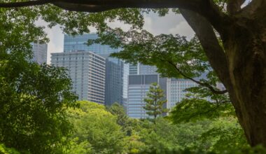 UNEP launches US$100 million programme to accelerate climate, nature action | Press Releases | Asia