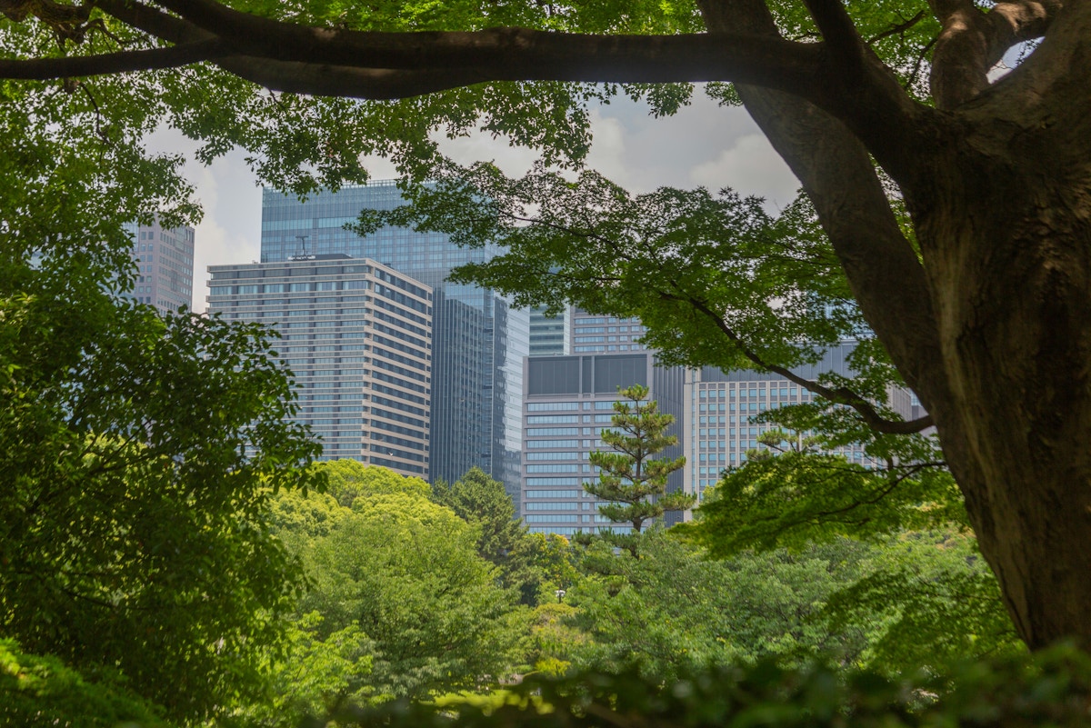 UNEP launches US$100 million programme to accelerate climate, nature action | Press Releases | Asia