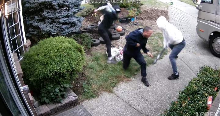 Pitt Meadows family flees Canada after brutal attack caught on camera - BC