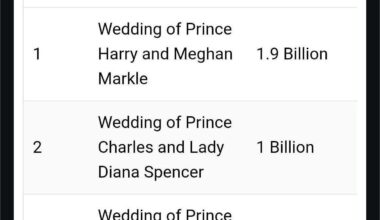 Royal wedding viewing figures