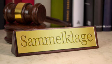 Die Einführung des kollektiven Rechtsmittels wird sicher nicht zu einer Flut von Verfahren führen.