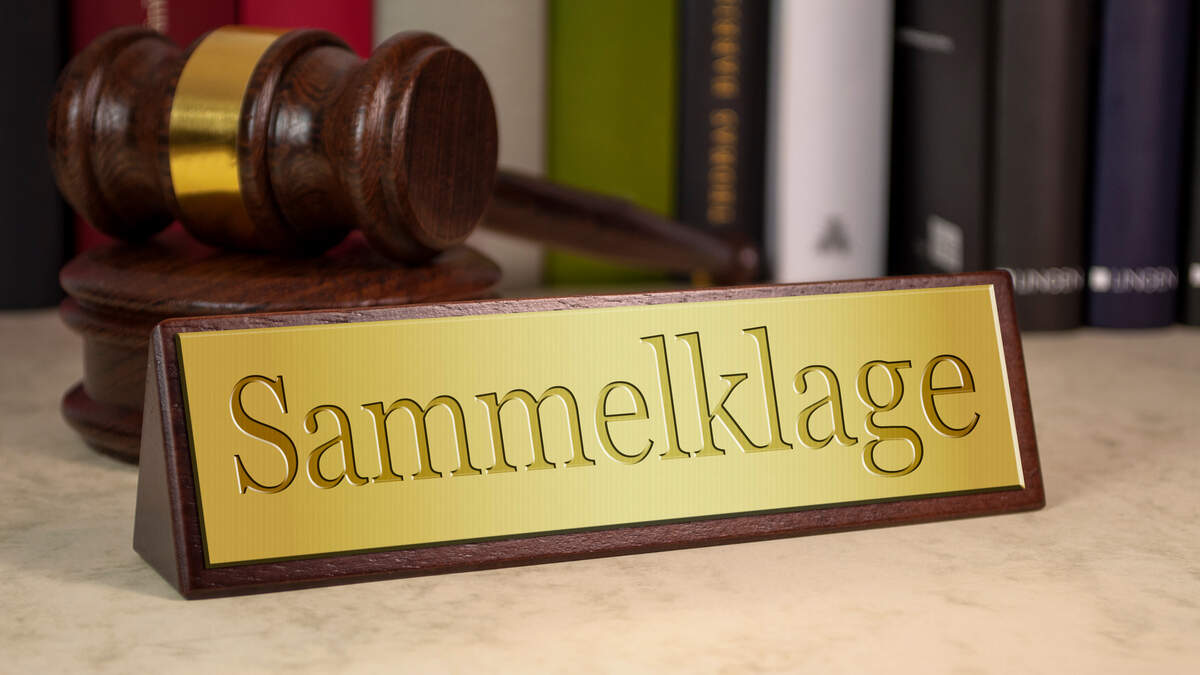 Die Einführung des kollektiven Rechtsmittels wird sicher nicht zu einer Flut von Verfahren führen.