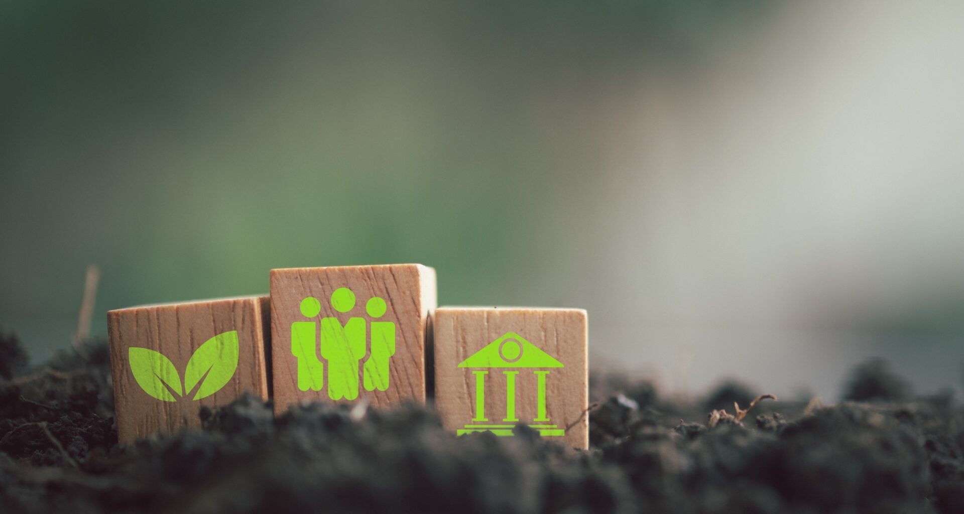 Fiscal policy for sustainable development: Achieving social and ecological goals
