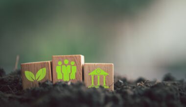 Fiscal policy for sustainable development: Achieving social and ecological goals