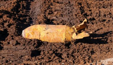 Unexploded Bombs Add to Climate Threats Facing Our Fragile Environment – One Green Planet