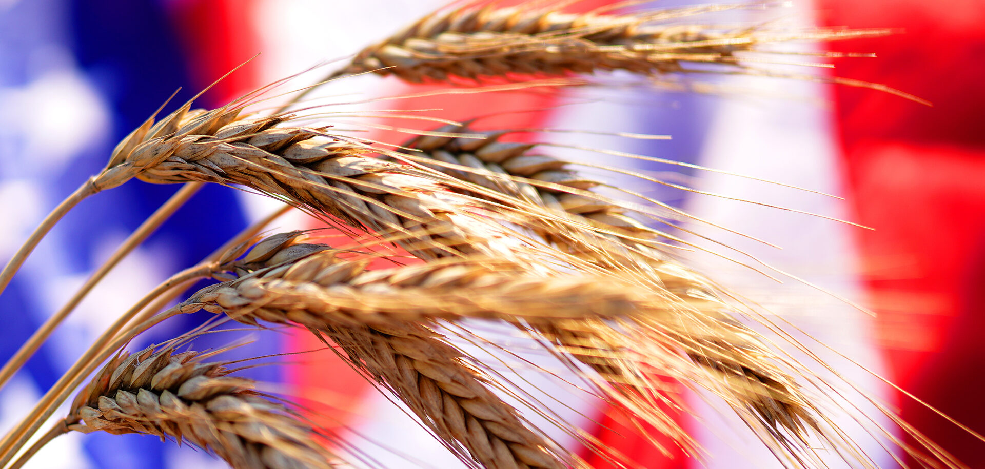 Trump administration eliminates data gathering on US hunger – Baptist News Global
