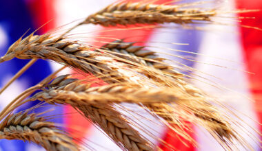 Trump administration eliminates data gathering on US hunger – Baptist News Global
