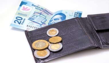 The central bank pulls the blue 20-peso bill out of circulation