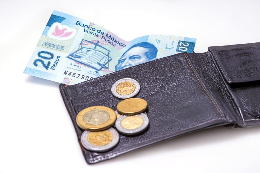 The central bank pulls the blue 20-peso bill out of circulation