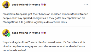 Rancisons le vocabulaire lié aux modifications du jeu Minefabrique