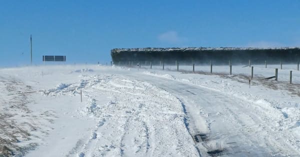 'Bitter night' for parts of South Island