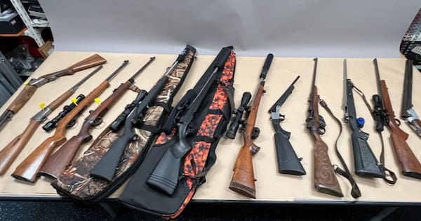 43 arrested, 96 guns seized