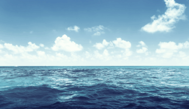 Southern Ocean Still Absorbing Co₂ New Research Uncovers How It’s Defying Climate Predictions