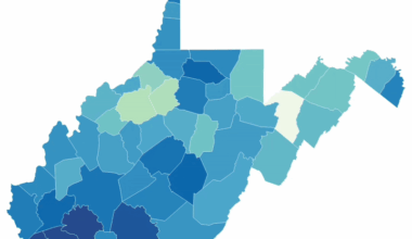 Democratic Voteshare in WV (per county) 2000-2024 [OC]