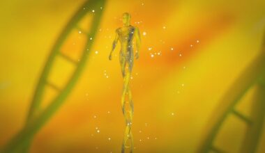 MIT Finds Genome Loops Survive Cell Division