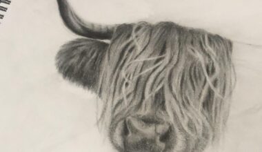 IM DRAWING A HIGHLAND COOOOO