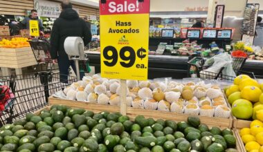Tariff Price Hikes ‘Smaller Than Anticipated’