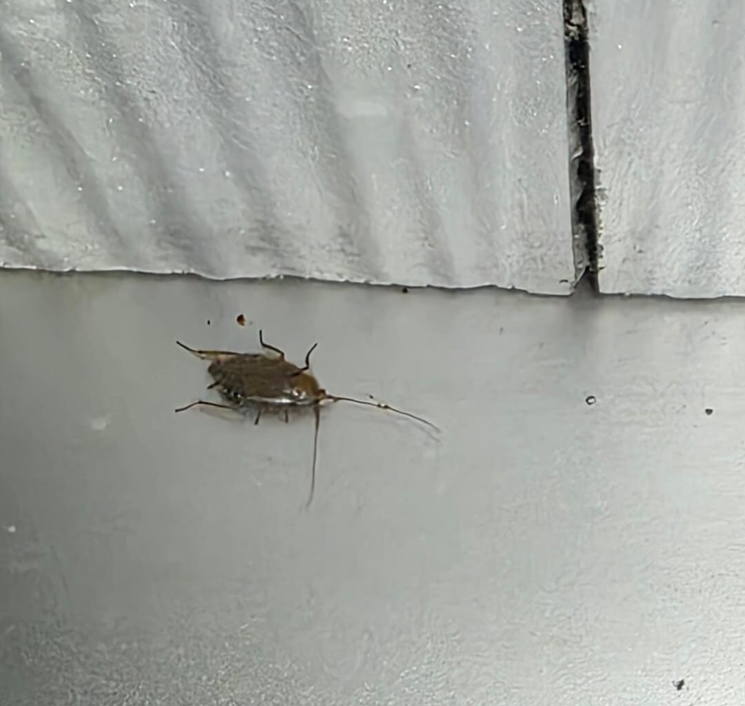Ich weiß zum hundertsten mal, aber was sind das?