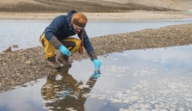 Scientists get a shocking glimpse of Arctic climate change